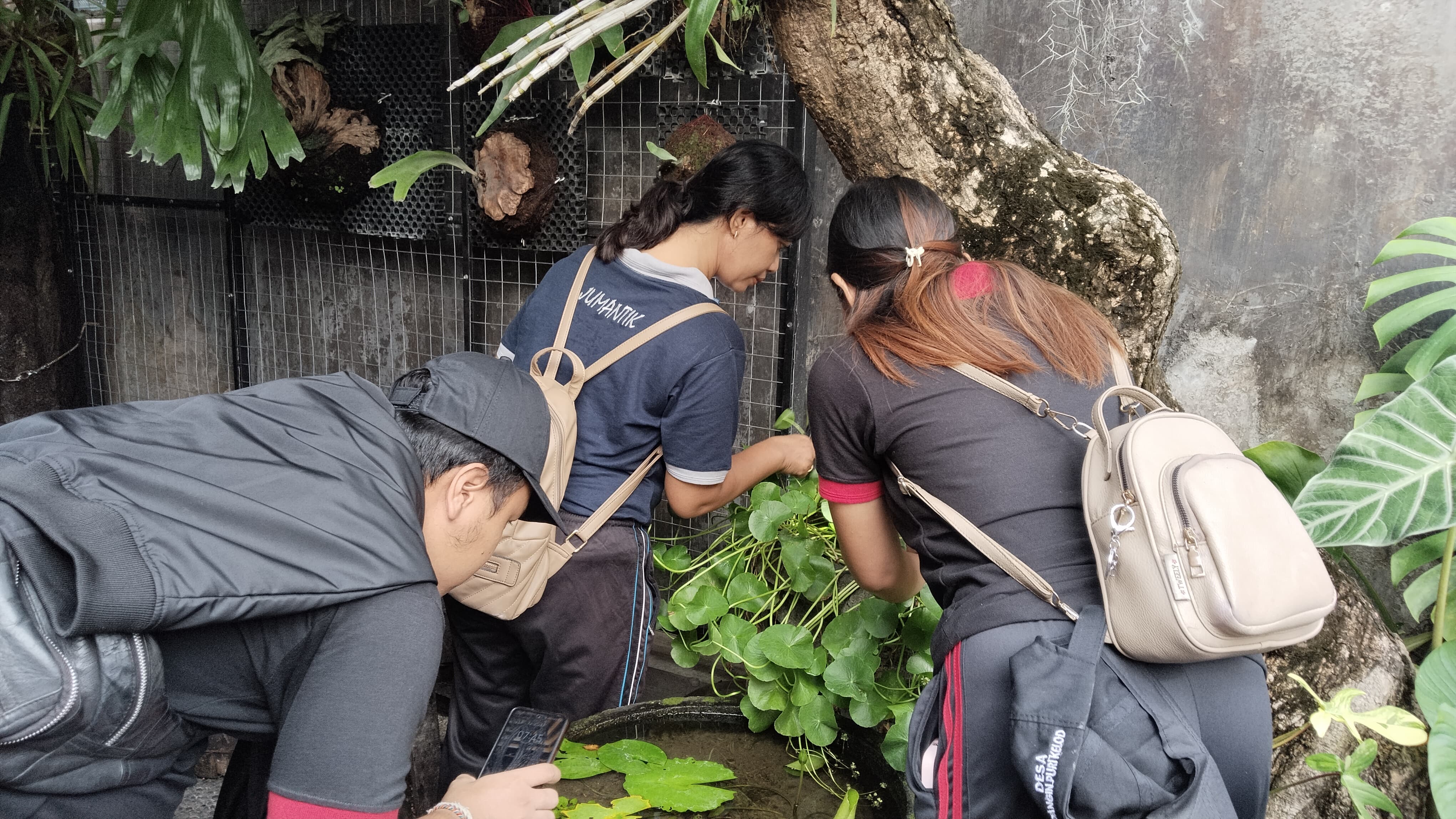 Kegiatan Lomba Pemberantas Sarang Nyamuk dan Kebersihan Banjar Hari Ketiga di Banjar Jayagiri dan Banjar Mandala Sari